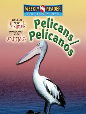 cover image of Pelicans/Pelícanos